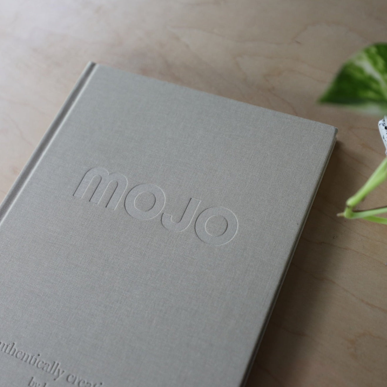 Photo of front linen cover of the Mojo book on top of a light grained wood table and a green leaf just in the corner foreground.